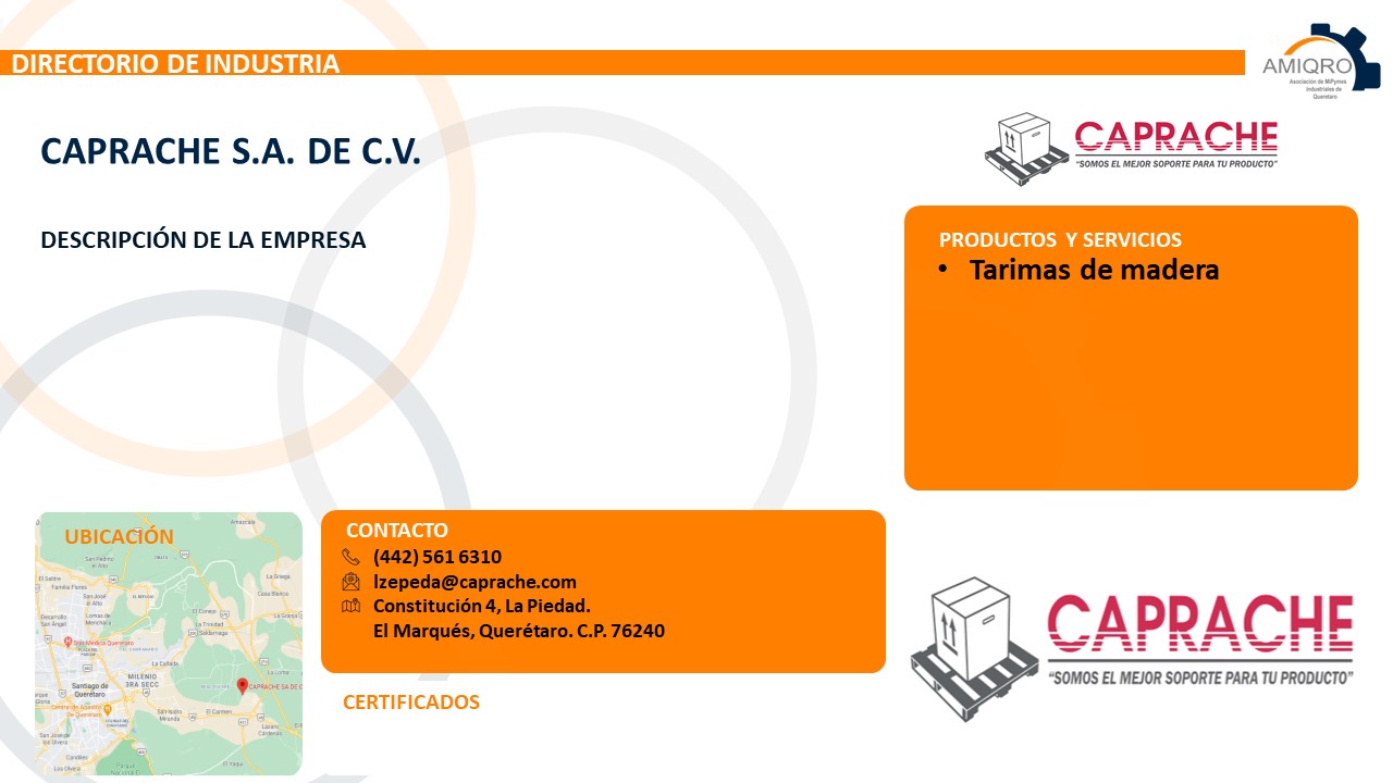 Diapositiva21